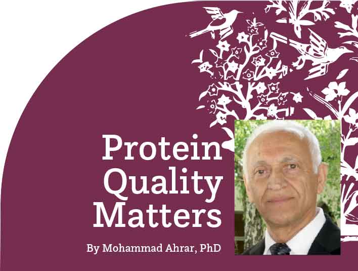 Protein Quality Matters