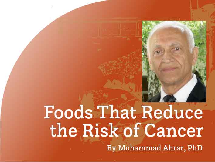 Foods That Reduce the Risk of Cancer