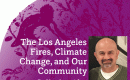 The Los Angeles Fires