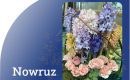 Nowruz