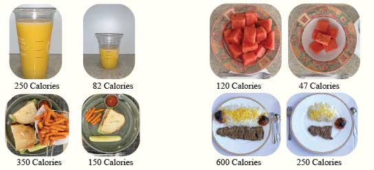 Portion Size Matters - Peyk Magazine