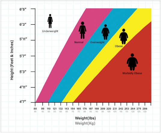 Healthy Weight - Healthy Life - Peyk Magazine