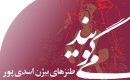طنزهای بیژن اسدی پور
